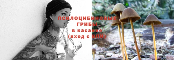 2c-b Балабаново