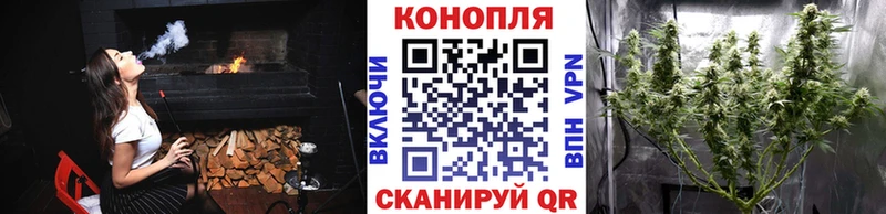 Конопля OG Kush  Билибино 